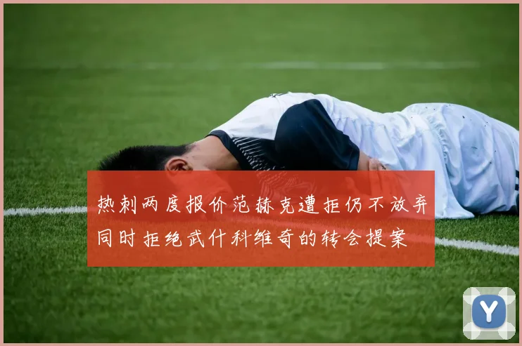 热刺两度报价范赫克遭拒仍不放弃同时拒绝武什科维奇的转会提案